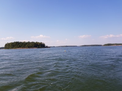 20190727_172515.jpg