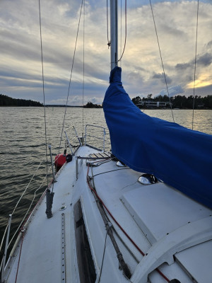 20250915_191206.jpg