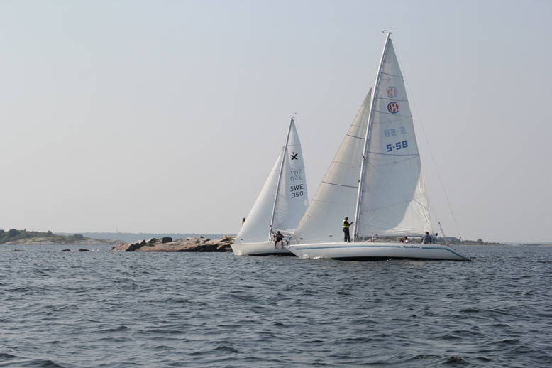 IMG 3506