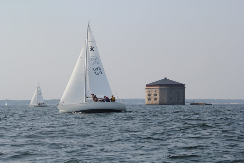 IMG 3514