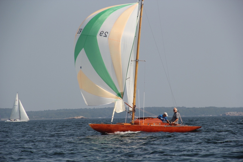 IMG 3516