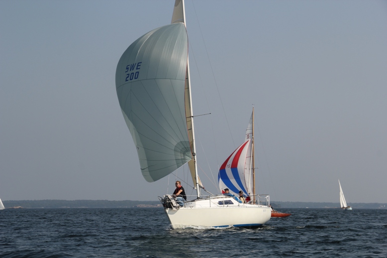 IMG 3517