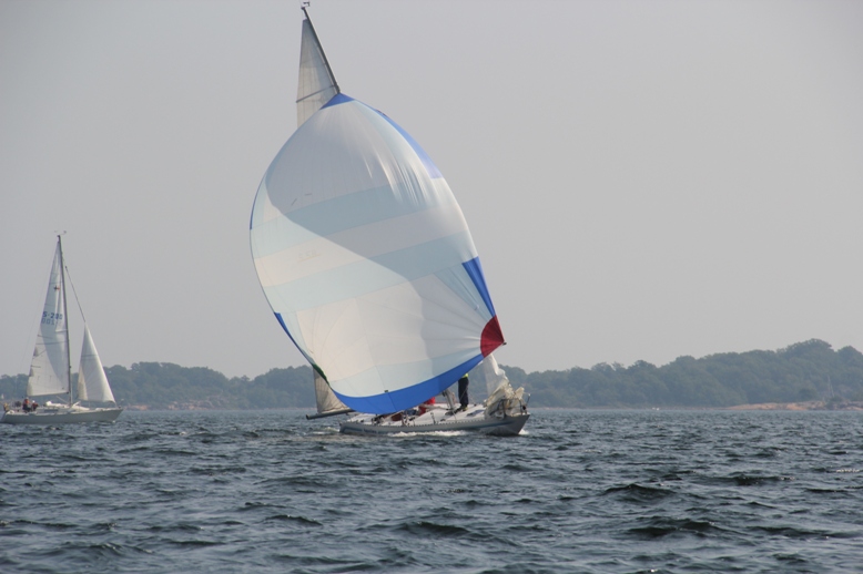 IMG 3534