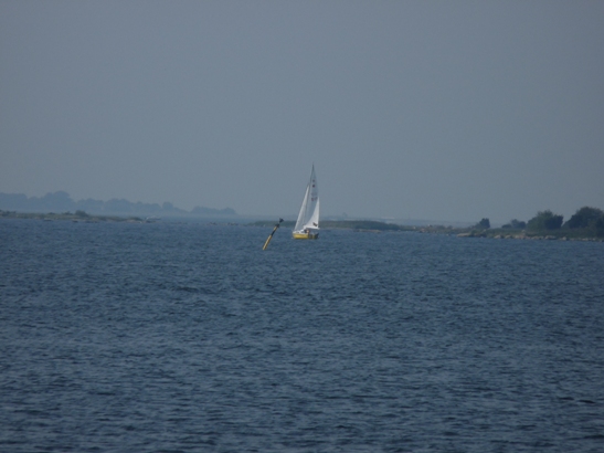 aP1100668