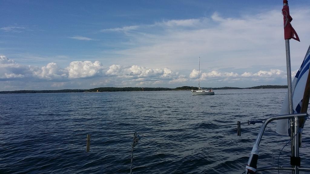 20150728 Bongauksia porkkalan edustalla. 