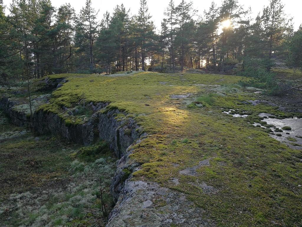 14.9 Saari on melko helppokulkuinen. Koillisosa on aika umpeenkasvanut, mutta polkuja löytää kyllä