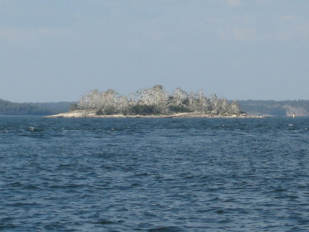 Kuollut saari
© Aleksi