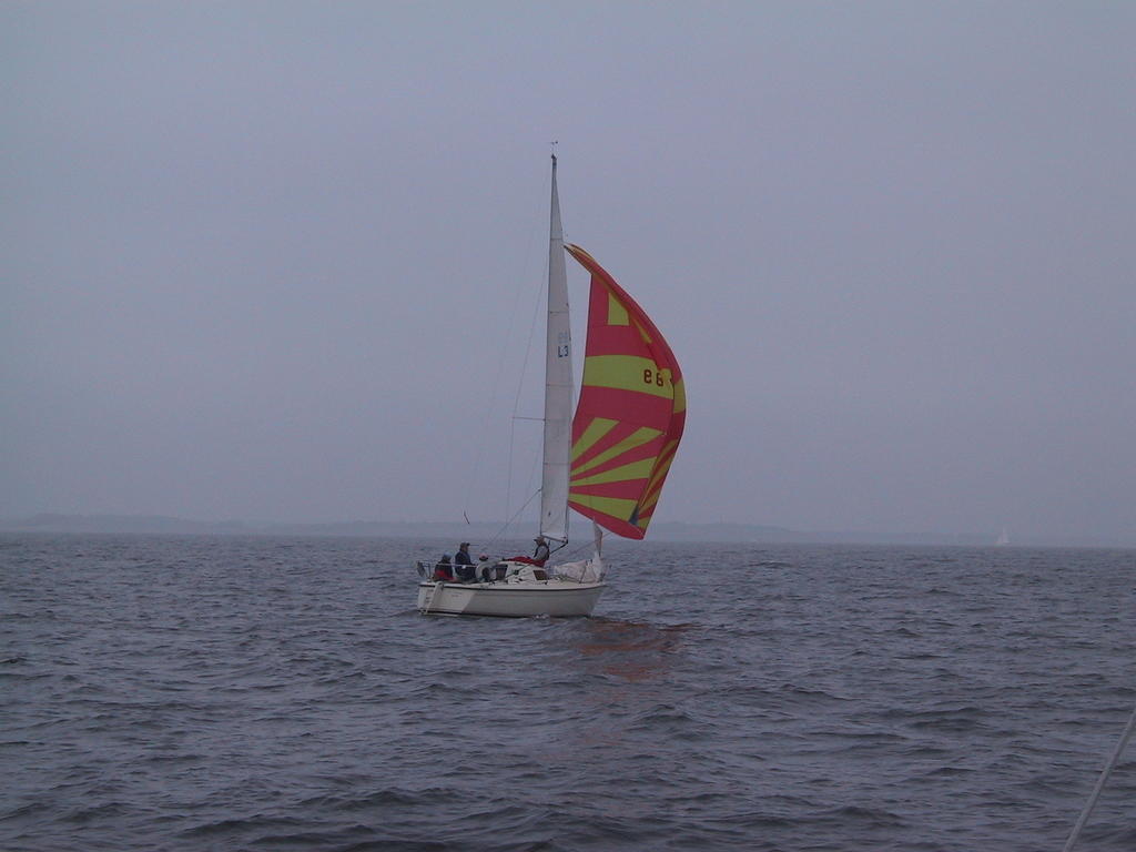 s/y Frau Mortimer