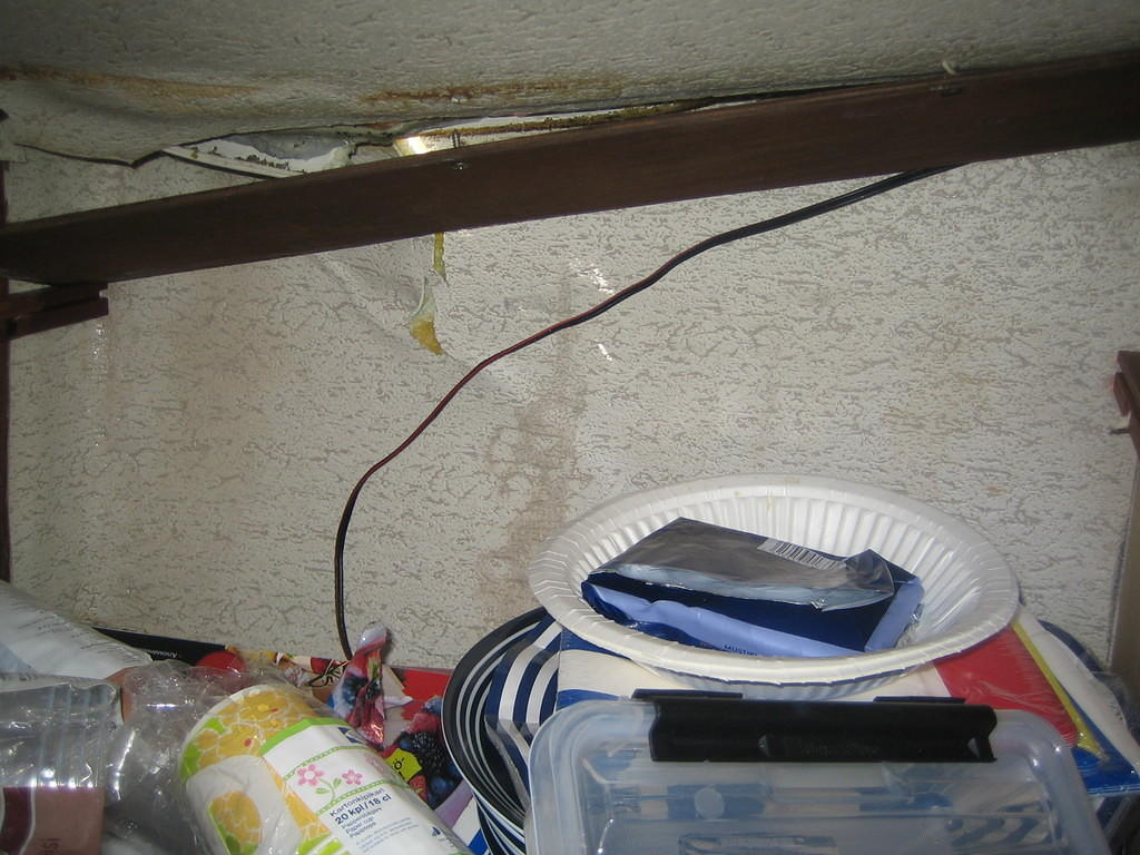 2010_10_14_284.jpg