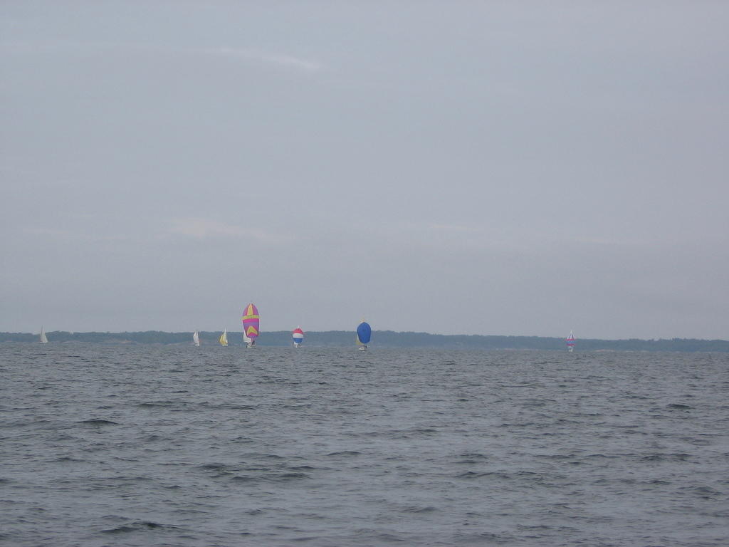 pyytinkari 2009 048