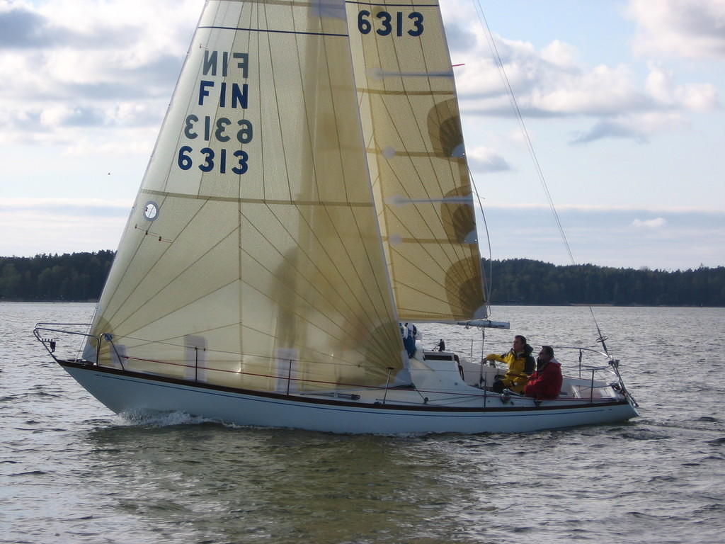 Purjehdus Viittakari 19.5 (38)