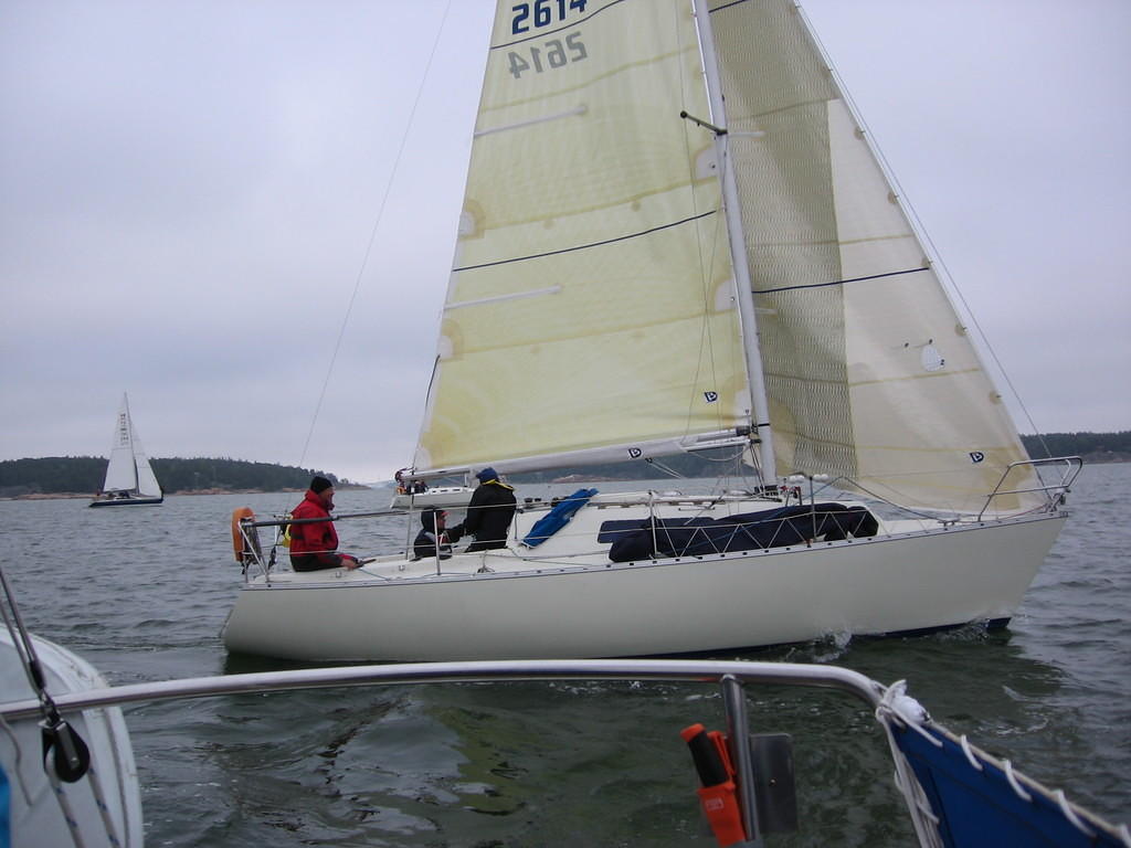 Purjehdus viittakari 26.5 (36)