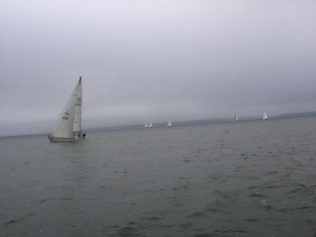 Purjehdus viittakari 26.5 (51)