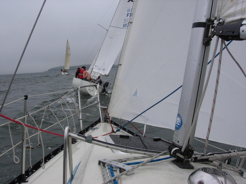Purjehdus viittakari 26.5 (53)