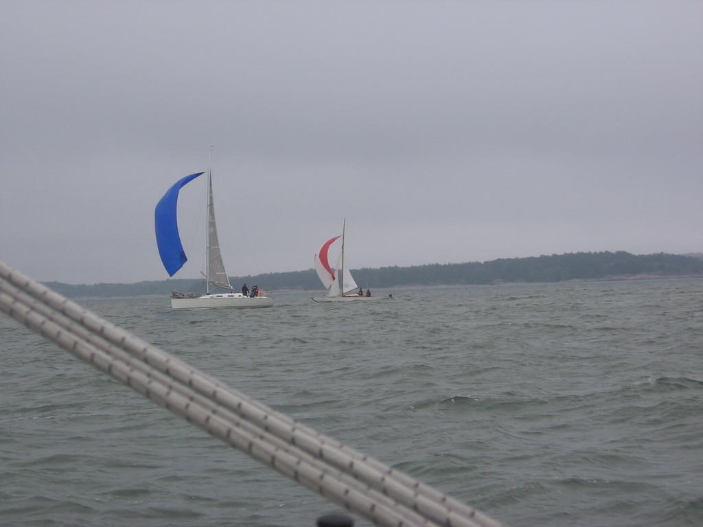 Purjehdus viittakari 26.5 (61)