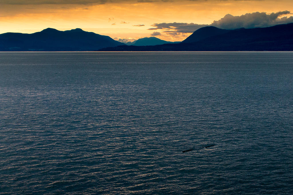The first sunset as seen from the ferry across Strait of Georgia and the first floating log.