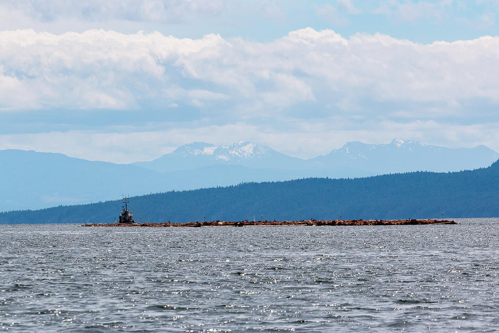 A towboat with a relatively small raft.