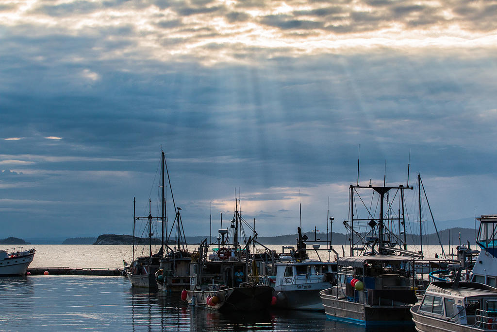 Port of Lund.