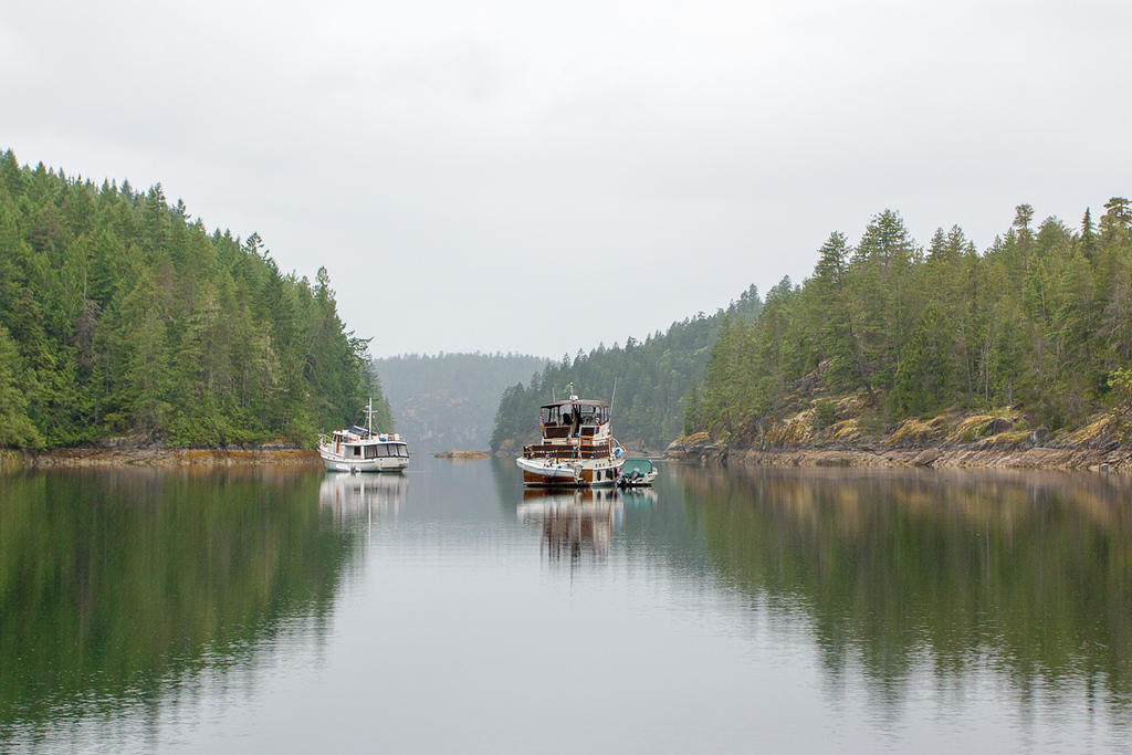 Foggy morning in Melanie Cove.