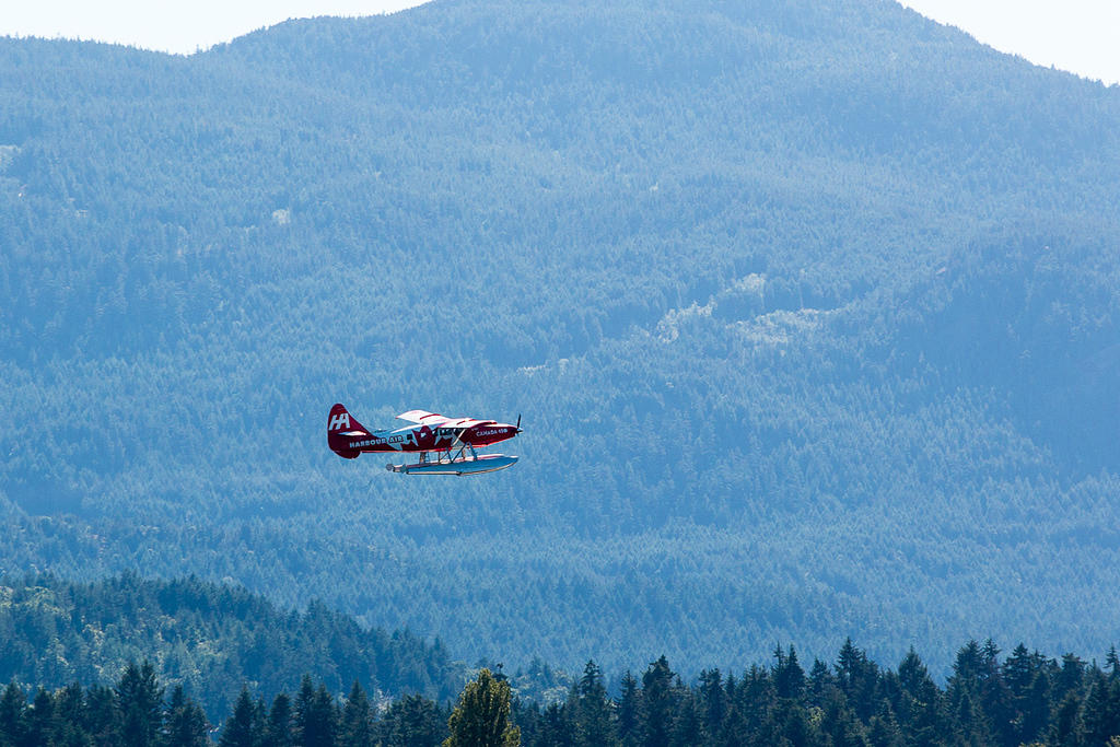 Busy sea plane traffic in Nanaimo.