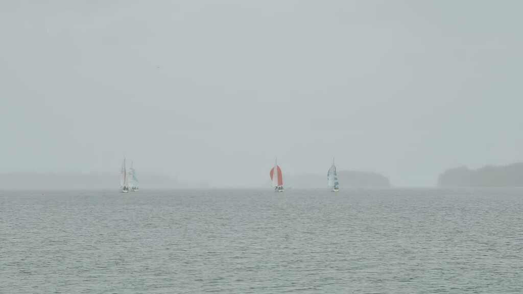 IMG-20210519-WA0004