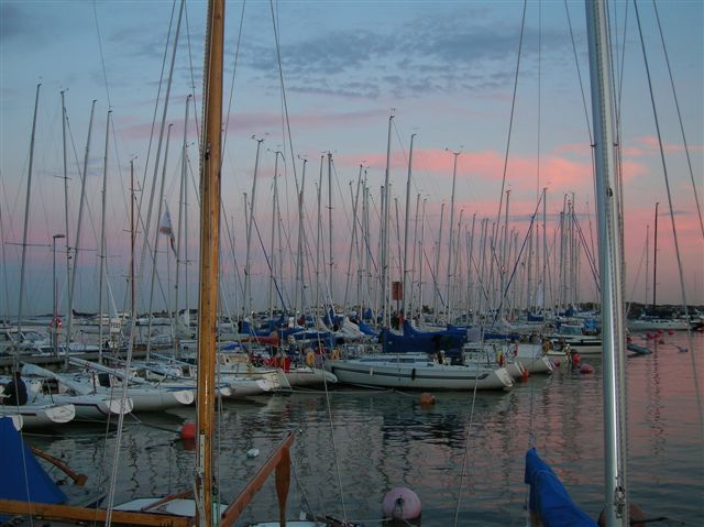 FE83   Hangon regatta 2005
Sepon kuva