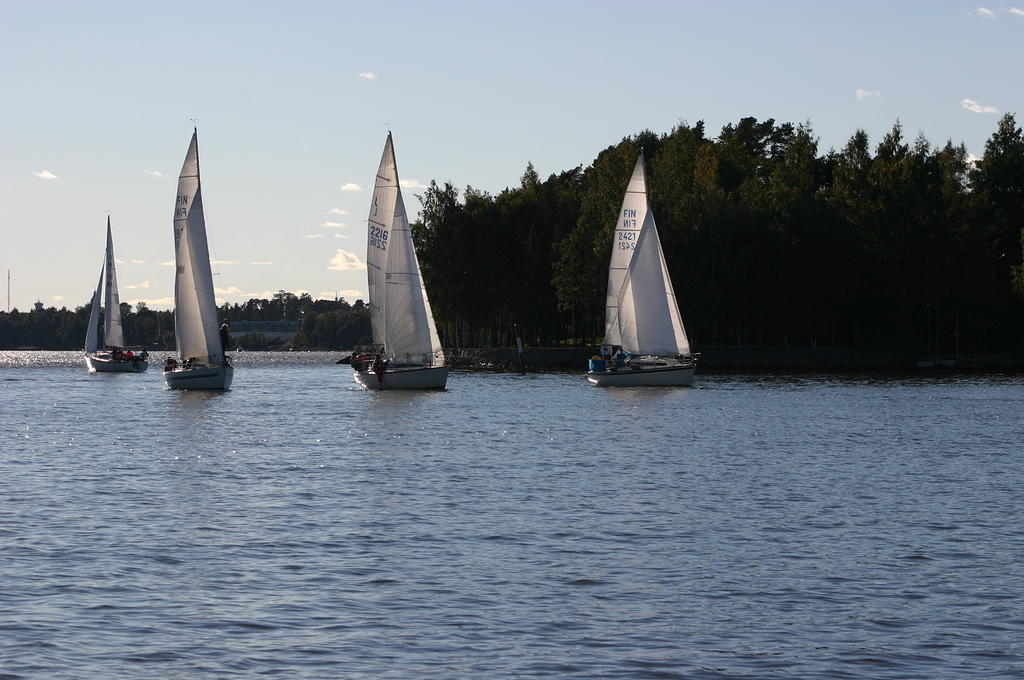 Fe-regatta 101