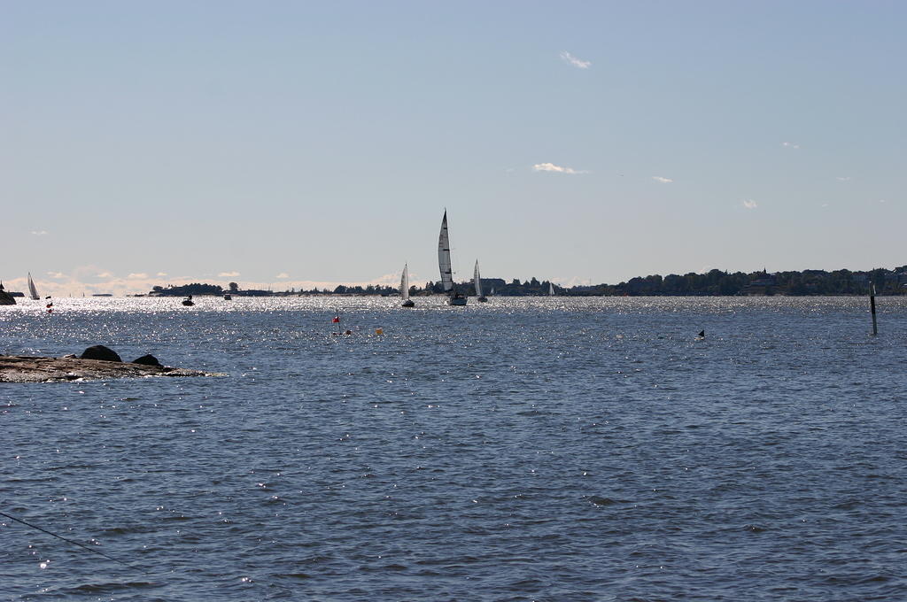 Fe-regatta 143