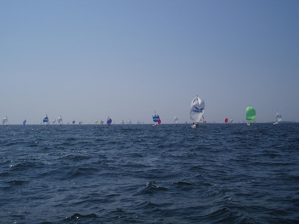 Paljon spinnuja takana