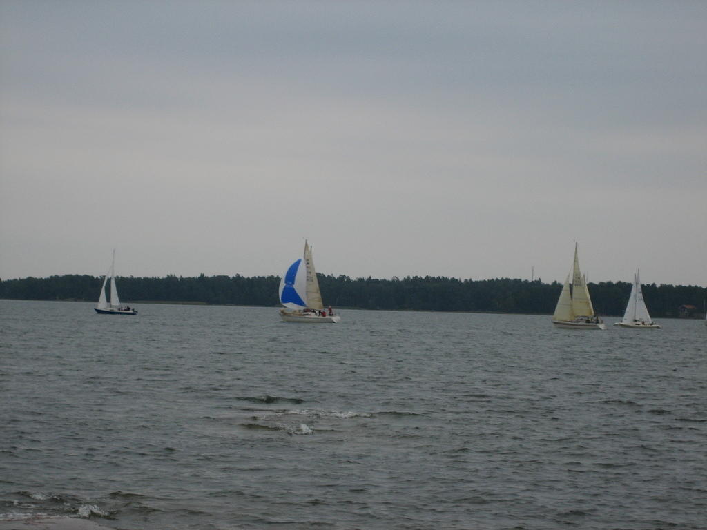 IMG_2812.JPG