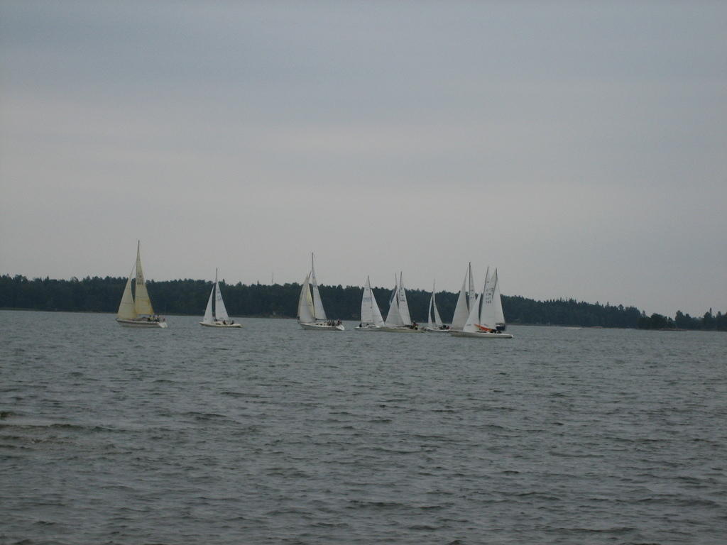 IMG_2813.JPG
