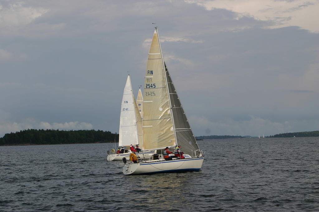IMG 2731
