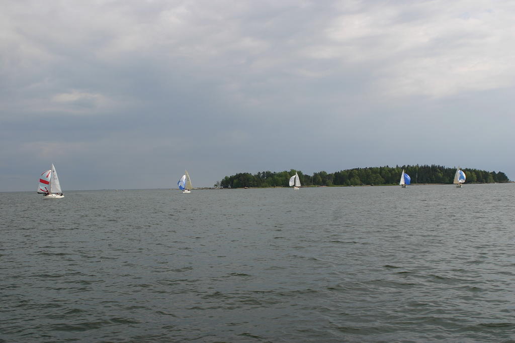 IMG 2735