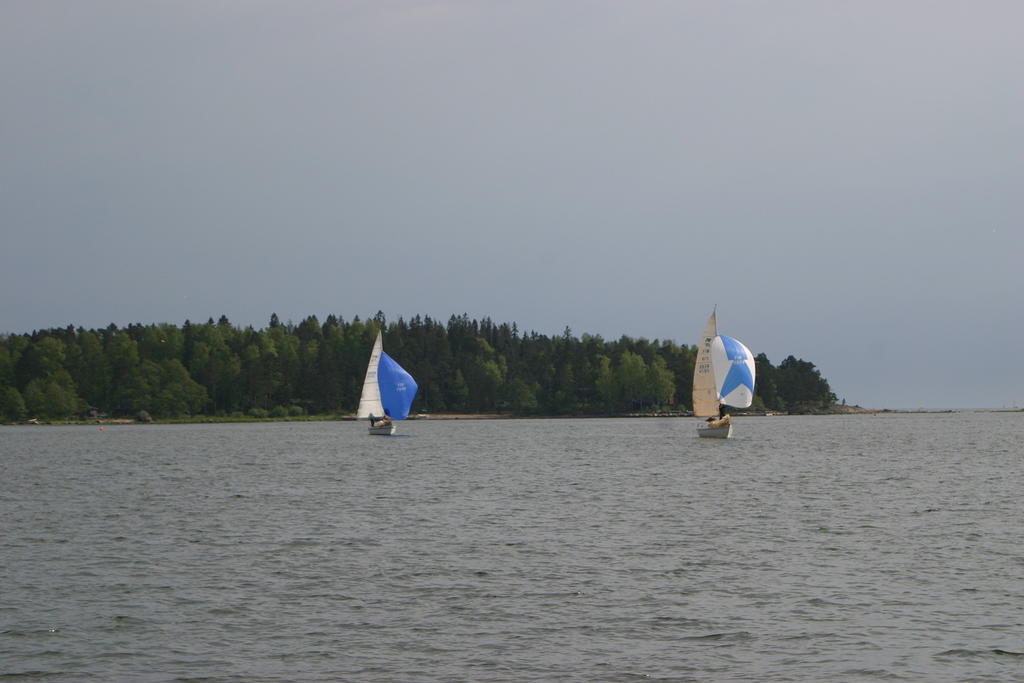 IMG 2737