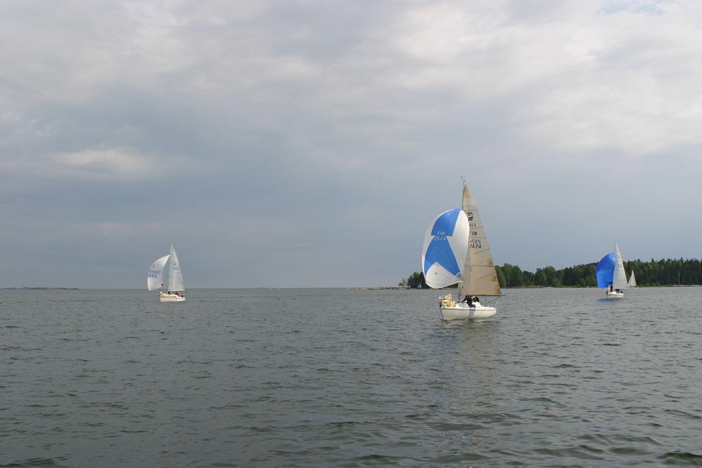 IMG 2742