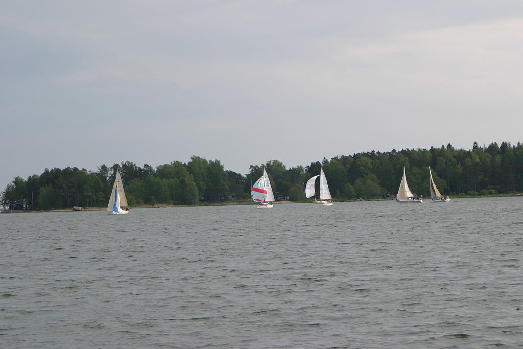 IMG 2753