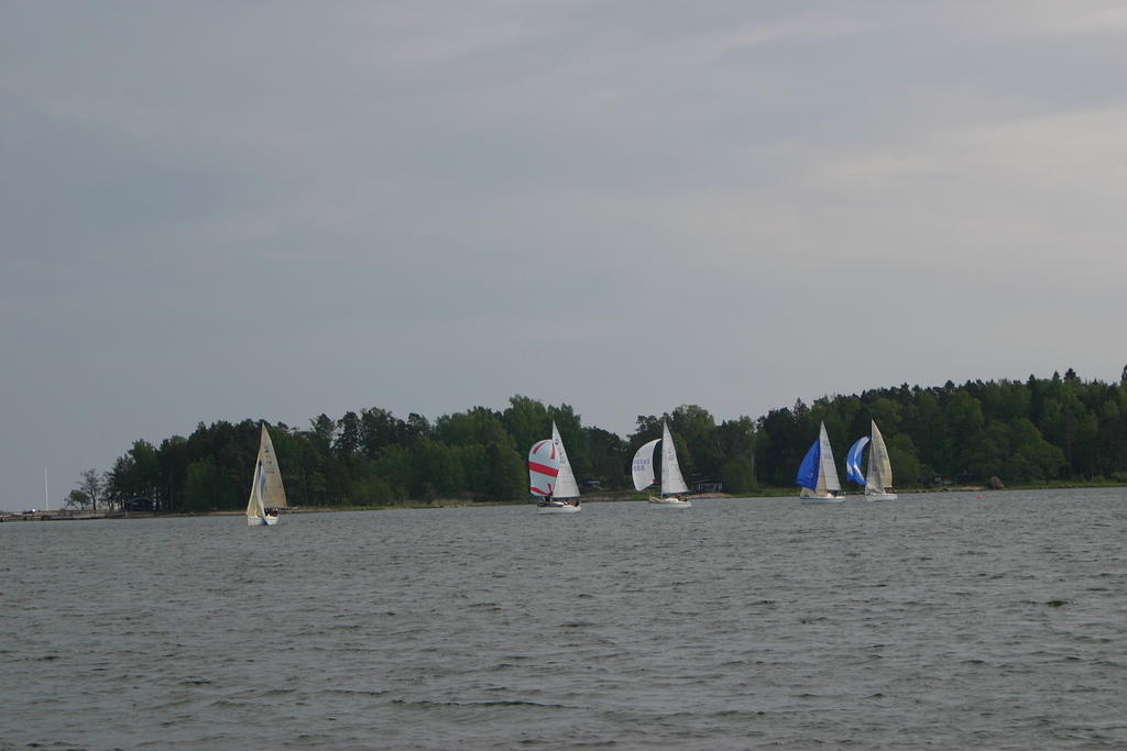 IMG 2755