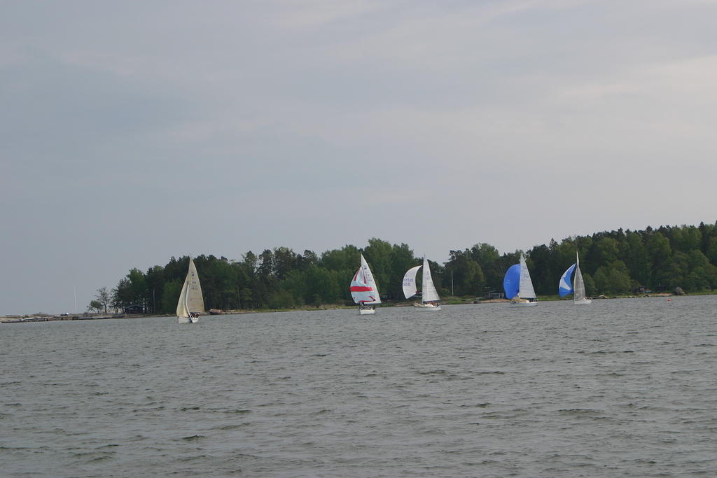 IMG 2756