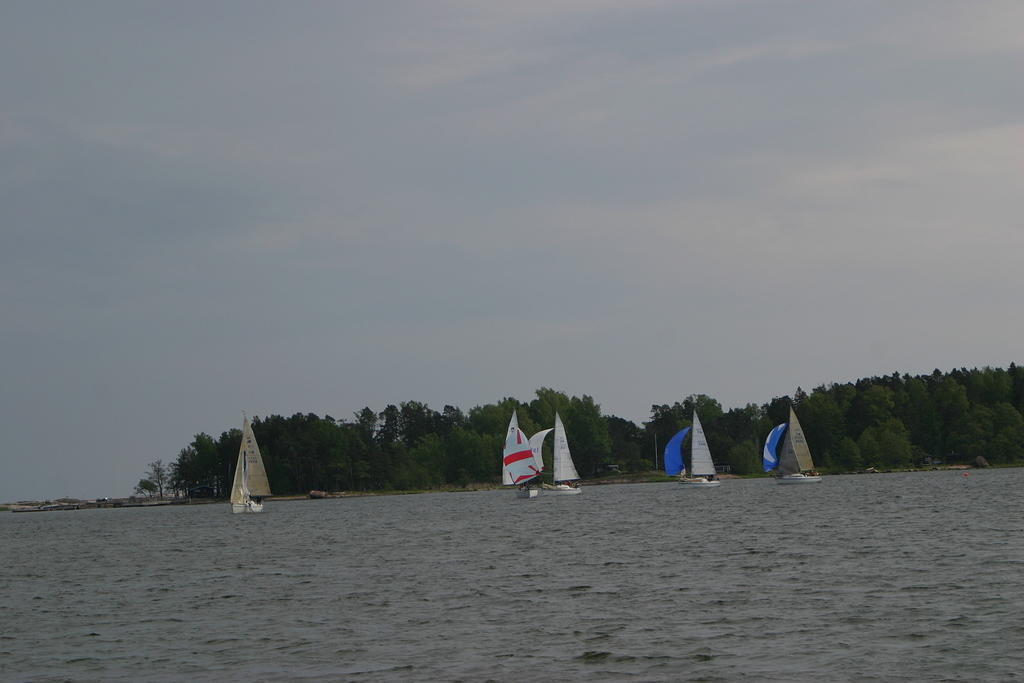 IMG 2758