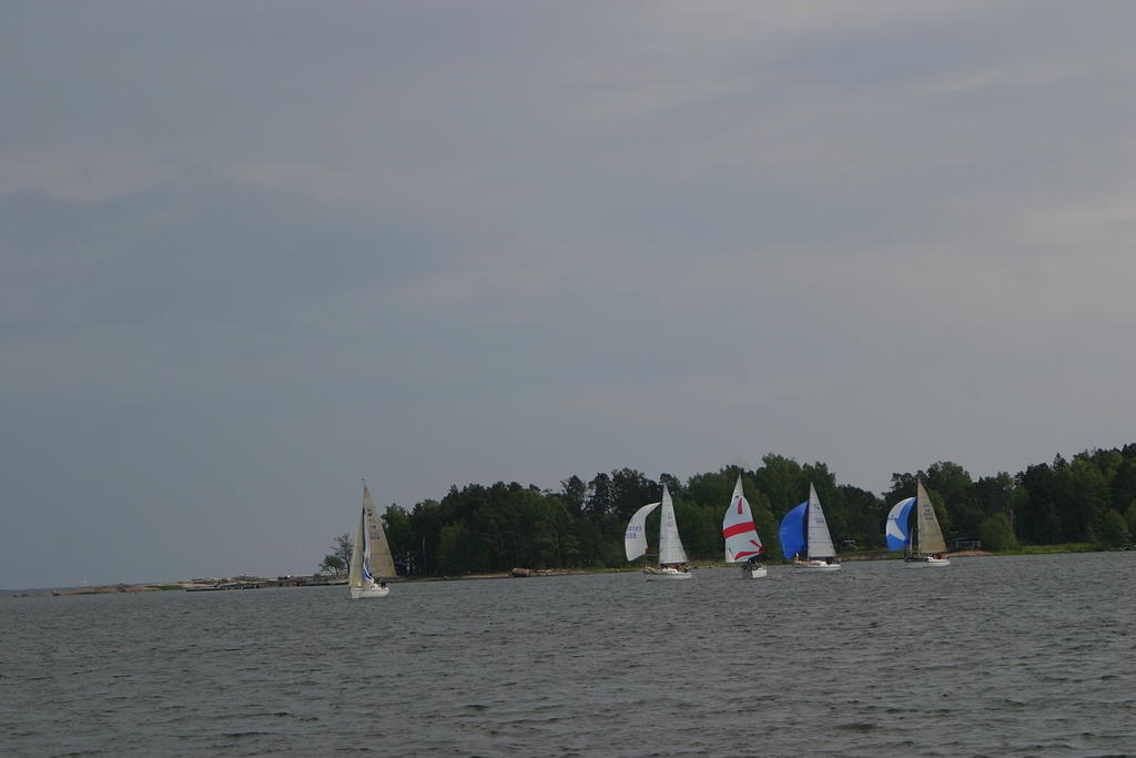 IMG 2761