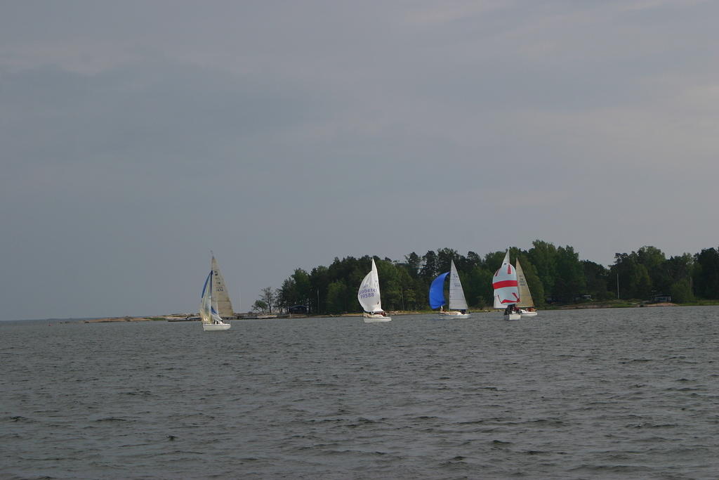 IMG 2762