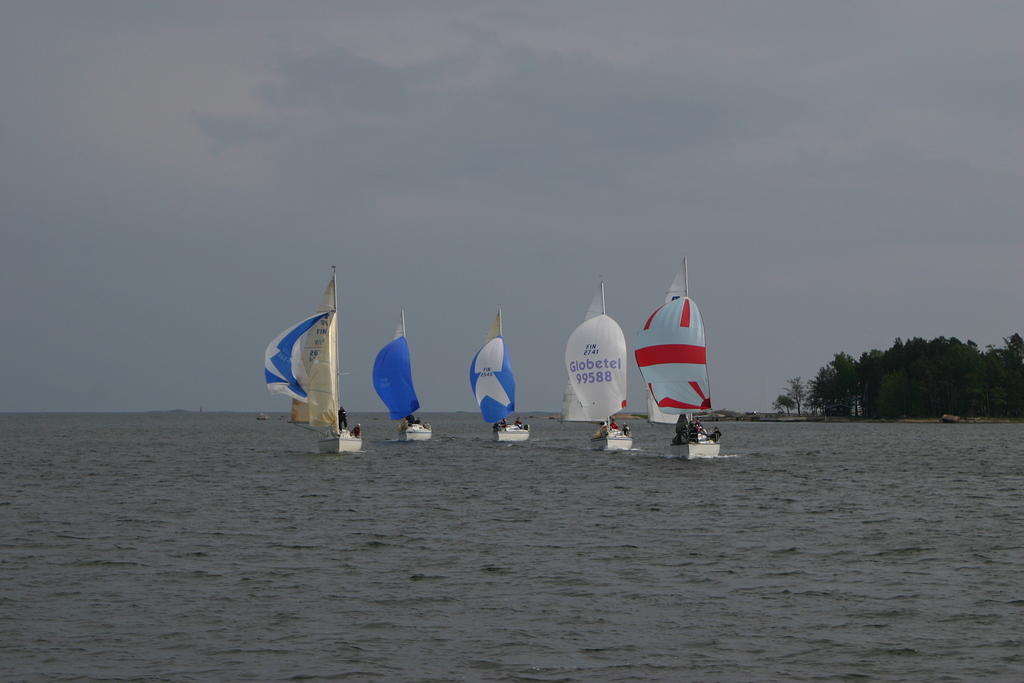 IMG 2768