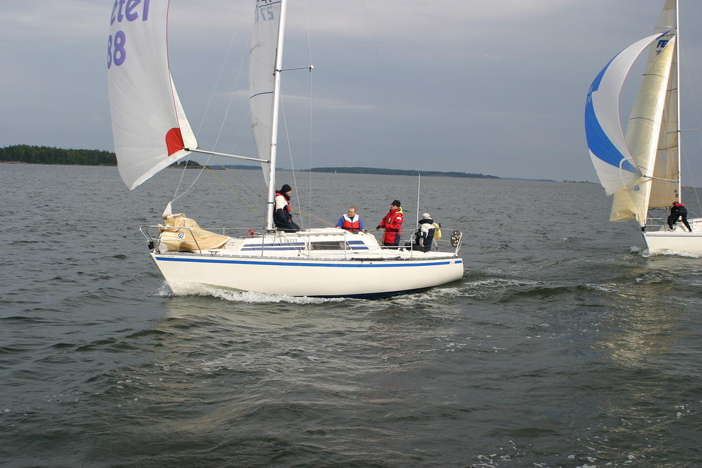 IMG 2782
