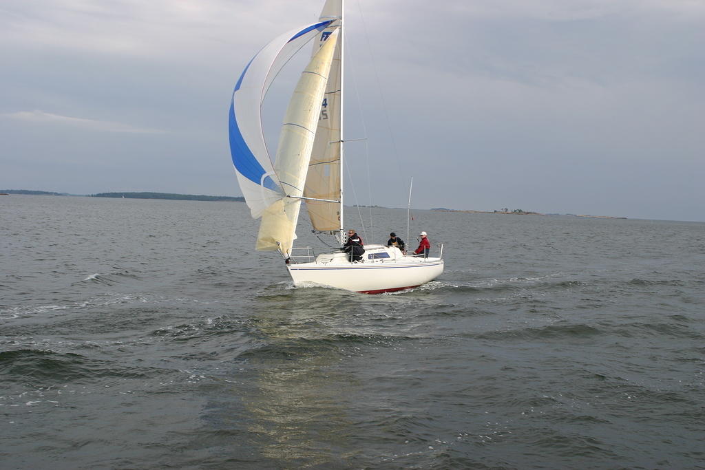 IMG 2783