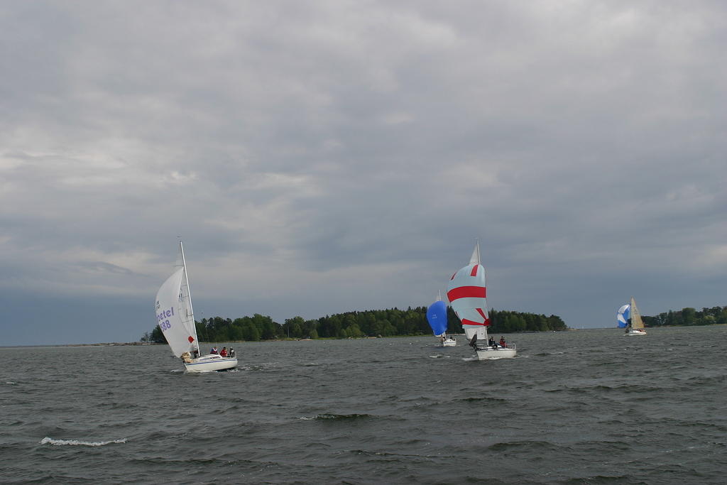 IMG 2842