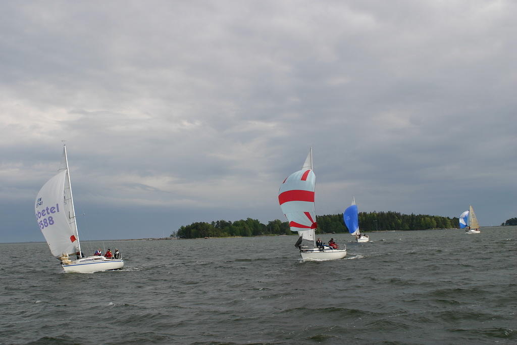 IMG 2844