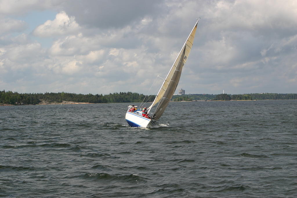 IMG 2869