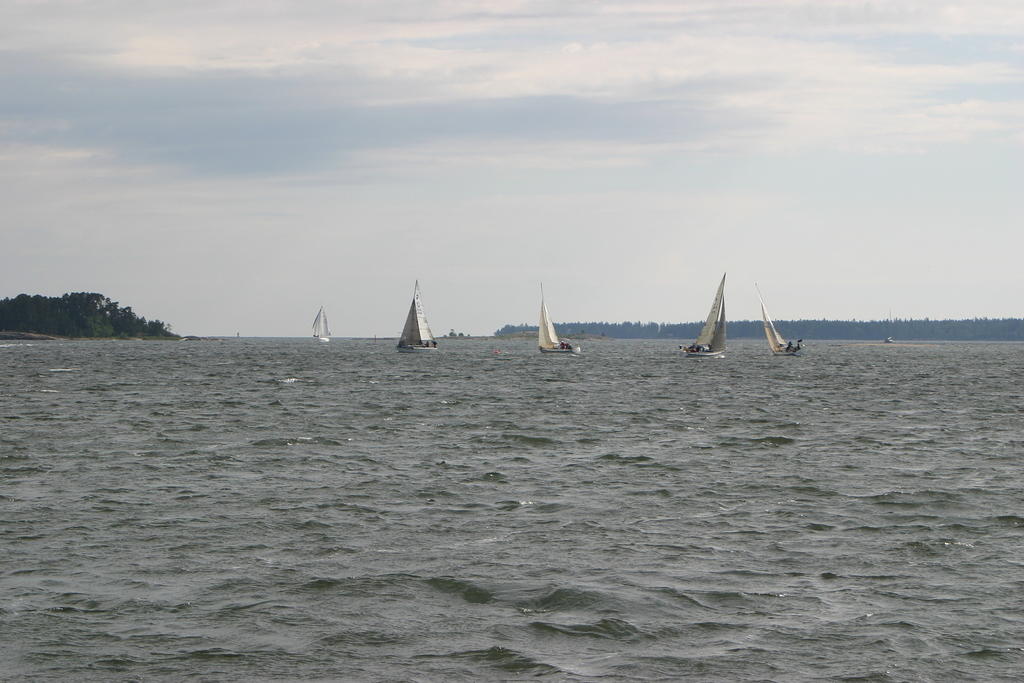 IMG 2874
