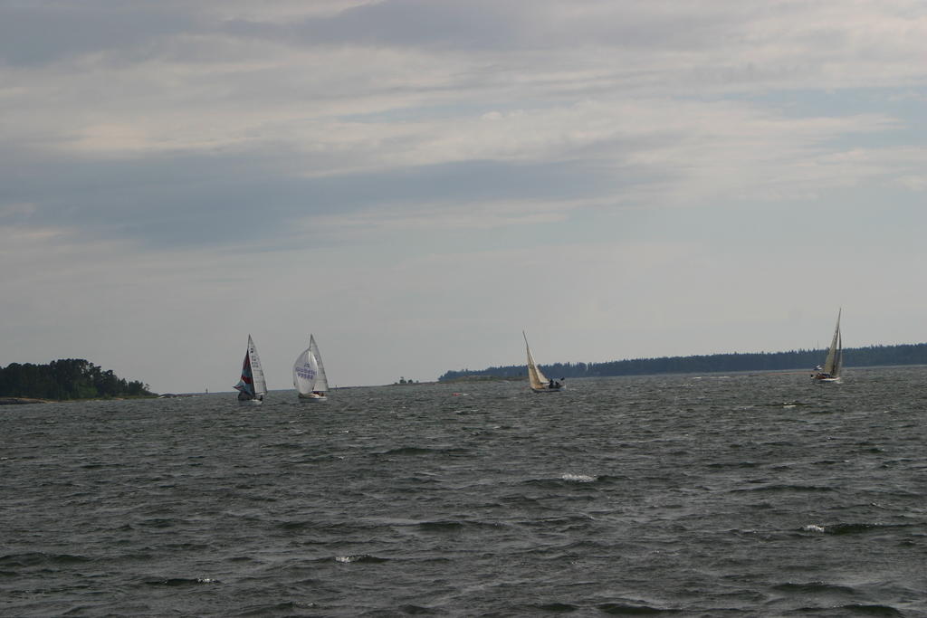 IMG 2877