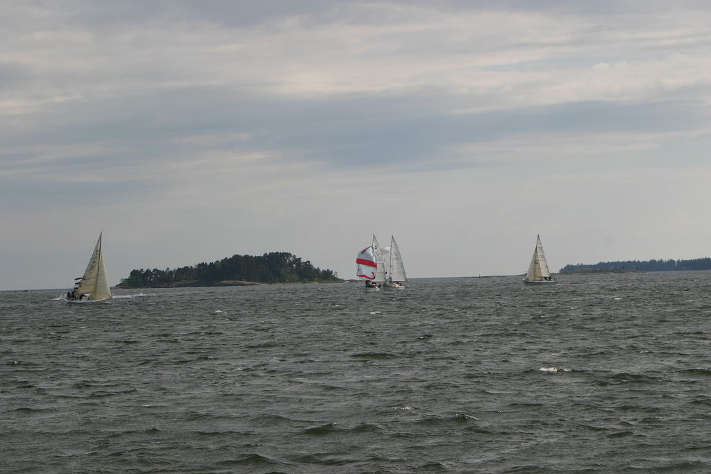 IMG 2879